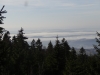 DSC04695