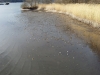 20150404_164650