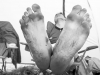 _IGP1785