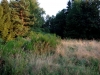 imgp0019